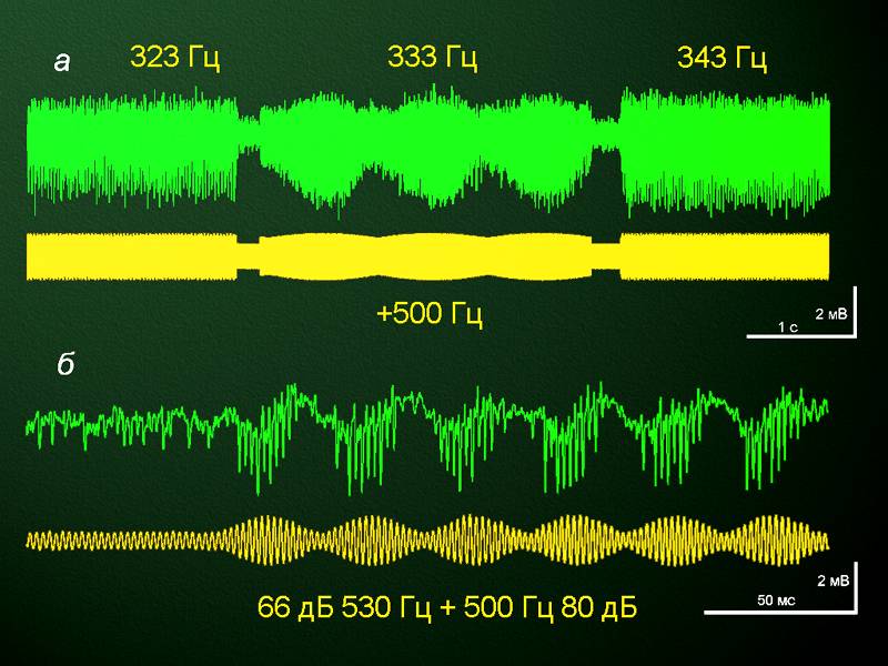 clx04.jpg (70704 bytes)