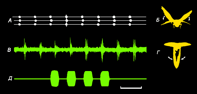 rhythm3.gif (11067 bytes)