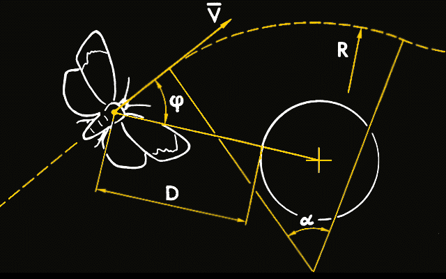 track1.gif (35860 bytes)