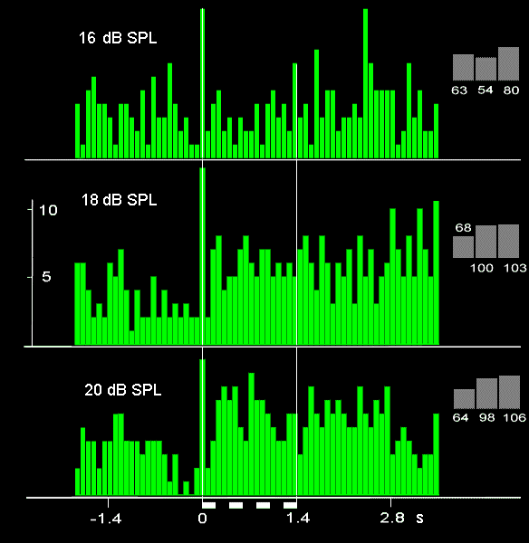 tuning14.gif 
    (16617 bytes)