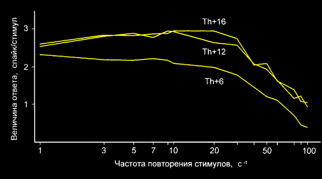 diagr3.gif (8154 bytes)