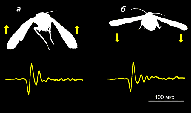 emiss10.gif (8023 bytes)