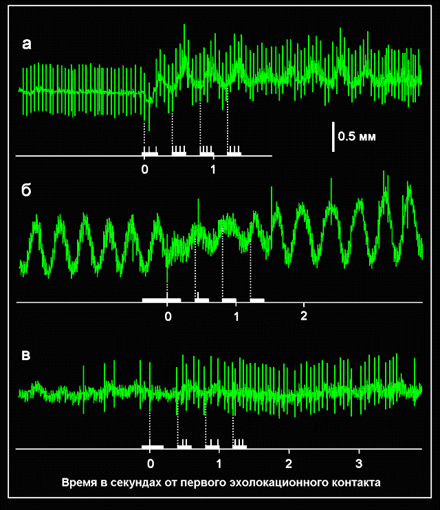 retrans8.gif (72929 bytes)