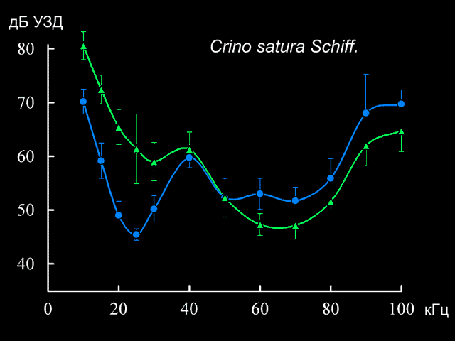 tuning11.gif (12610 bytes)